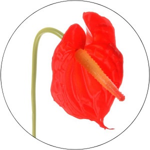 kunstig kvist med anthurium